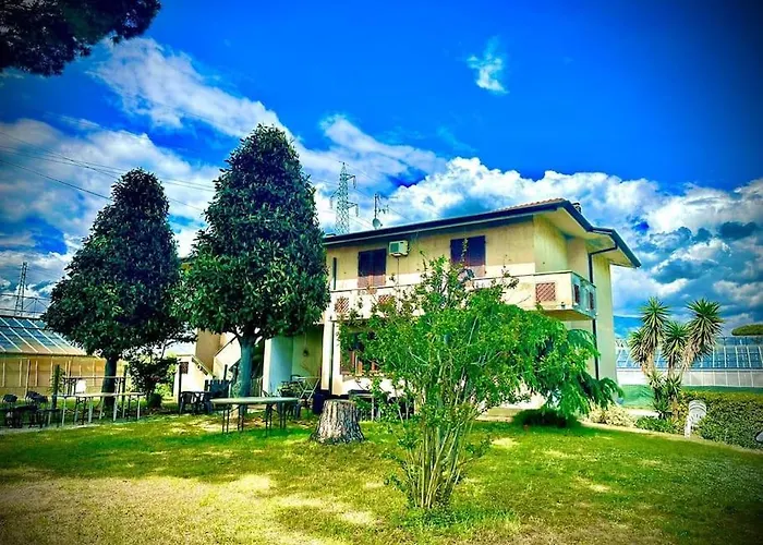Le 2 Magnolie, Viareggio