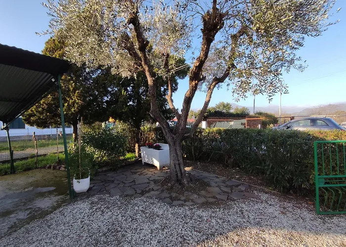 House Viareggio